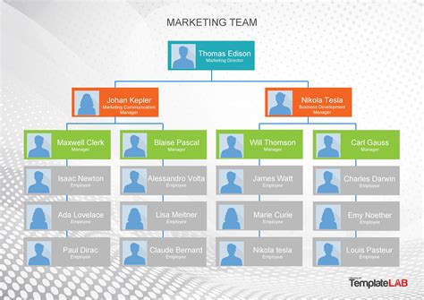 Organizational Chart Template – serat