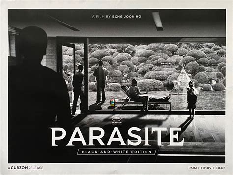 Original Parasite Movie Poster - Bong Joon Ho - Oscar Winner