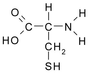 Difference Between Cysteine and cystine | Compare the Difference ...