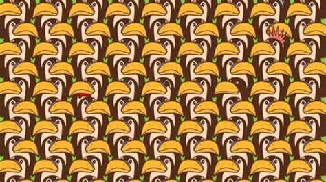 Optical Illusion Challenge: Can you find a penguin among the pelicans ...