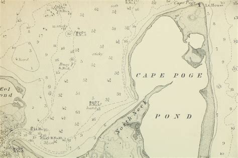 Reproduction Print of Chappaquiddick Island Map | EBTH