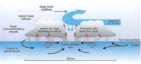 Hurricane Structure Diagram