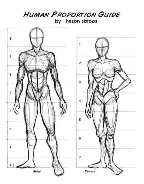 20 Human Anatomy Drawing Ideas and Pose References - Beautiful Dawn ...