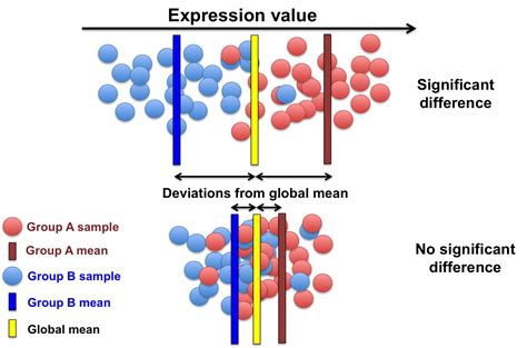 Slides: Automated Cell Annotation / Automated Cell Annotation / Single Cell