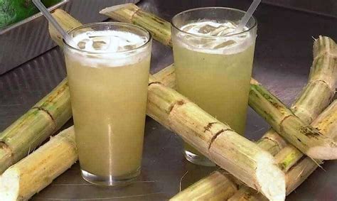 Guarapo: Discover the Benefits of this Delicious Sugarcane Drink » Savoteur