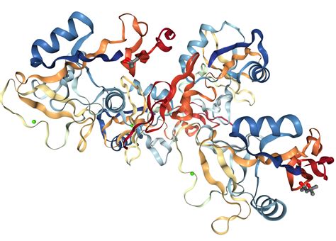 P-Selectin/CD62P Protein Overview | Sino Biological