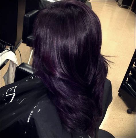 Dark Eggplant Purple Hair