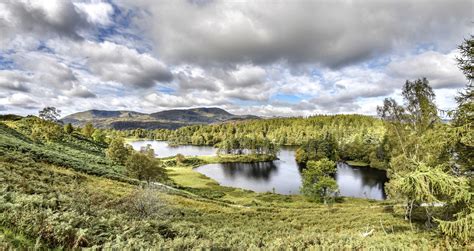 Tarn Hows Circular Walk – Lake District Walks - Active-Traveller