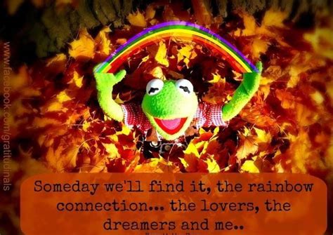 9 Inspirational Quotes from Kermit the Frog! | NineFrogs