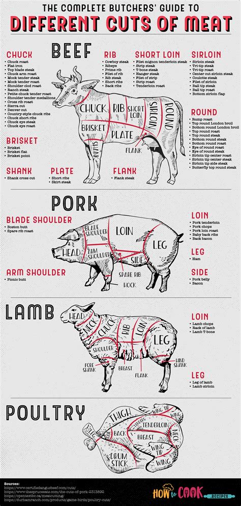 The Complete Guide to Different Cuts of Meat #Infographic - Visualistan