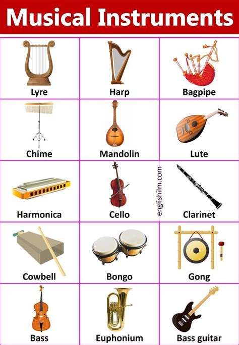 Names of The Musical Instruments with Images | English ilm | Musical ...