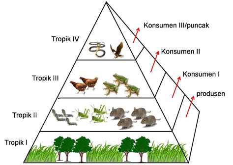 10 Jenis Biotik Hewan dan Tumbuhan serta Dampaknya pada Ekosistem