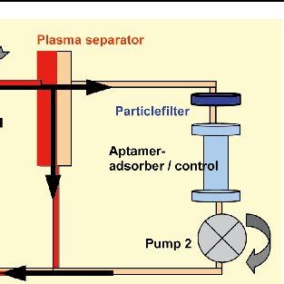 Appearance of (A) aptamer-apheresis-treated rat 11 days after the final ...