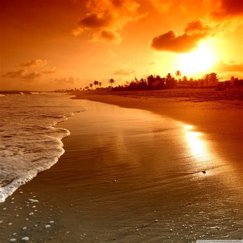 Beach Sunrise Wallpaper (70+ images)