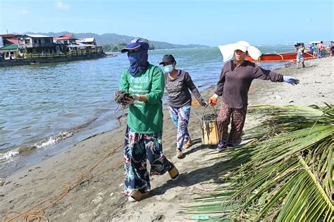 After oil spill in Oriental Mindoro, uncertain future grips fishing ...