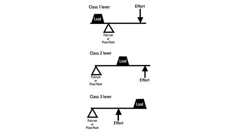 Draw three types of levers. Give atleast one example of each type of lever?