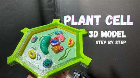 Plant cell 3d model easy with cardboard #science #diy class 7-8th ...