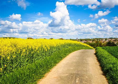 French Countryside by Nila Newsom | French countryside, Countryside ...