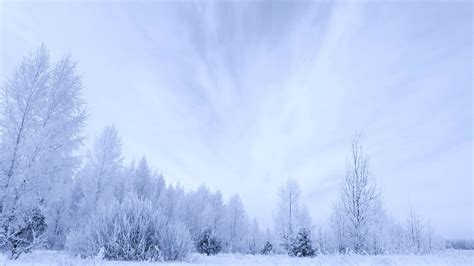 Download Nature White Snow Winter 4k Ultra HD Wallpaper