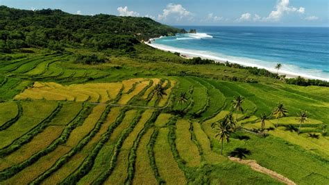 Bali and Sumba Islands, Indonesia - Travel Beyond