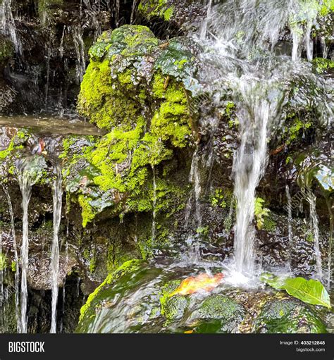 Tropical Waterfall Image & Photo (Free Trial) | Bigstock