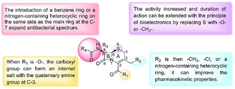 Structure-activity relationships of cephalosporins. | Download ...