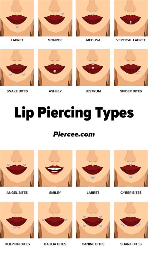 Lip Piercing Guide: 18 Types Explained (Pain Level, Price, Photo) (2023)