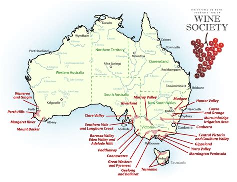 Australian Wine Regions You Must Visit