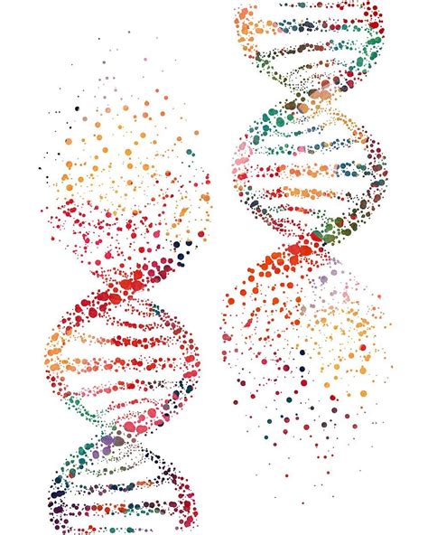 DNA Molecule Science Art Print Genetics Art illustration | Molecule art ...