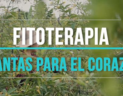 Fitoterapia Projects | Photos, videos, logos, illustrations and ...