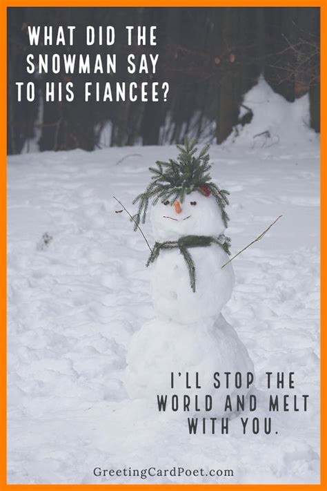 150+ Funny Snow Puns and Riddles That Are Snow Joke | Snow puns, Snow ...