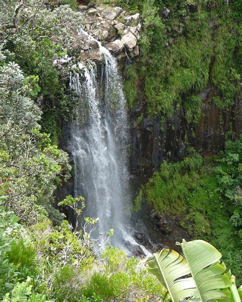 Alexandra Falls View Point - Tripopola