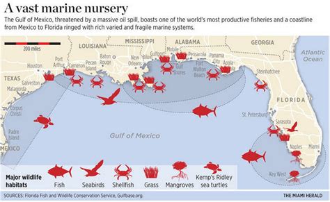 Bp Oil Spill Map 2022