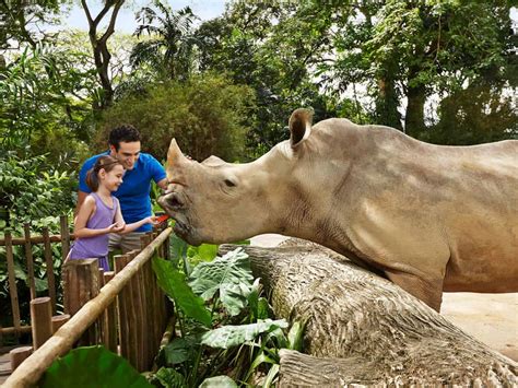 Singapore Zoo - Ticket Price, Entrance Fee, Opening Hours & Map