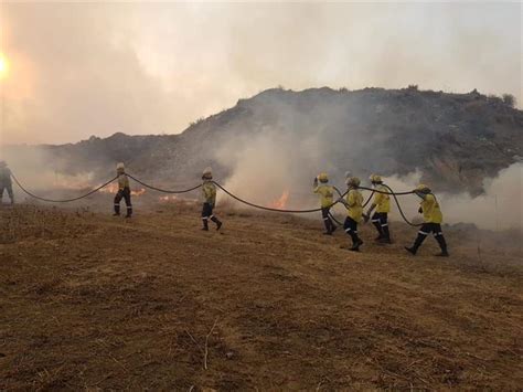 Working on Fire FIrefighters kept busy in the Highveld region over the ...