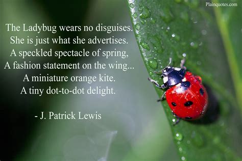 The Ladybug wears no disguises