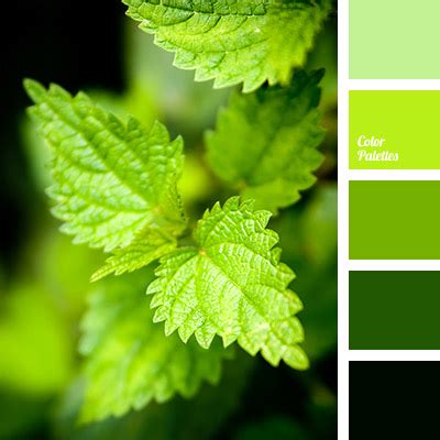 rich light green colour | Color Palette Ideas