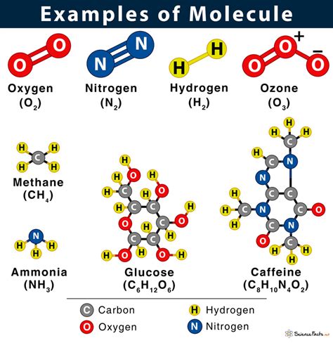 Molecule: Definition, Examples, Facts & Diagram