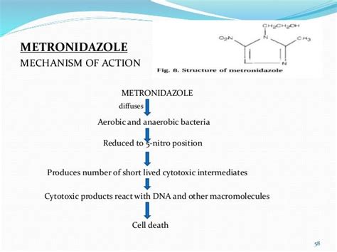 Metronidazole Mechanism Of Action - slideshare