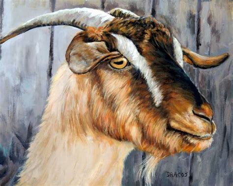 Cashmere Goat Farm Art Original Painting 16x20 canvas Goat | Etsy