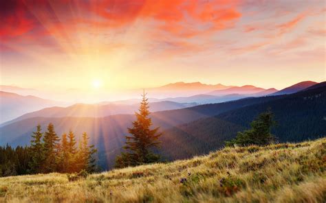 HD Mountains Covered Forest Background Images Wallpaper | Download Free ...