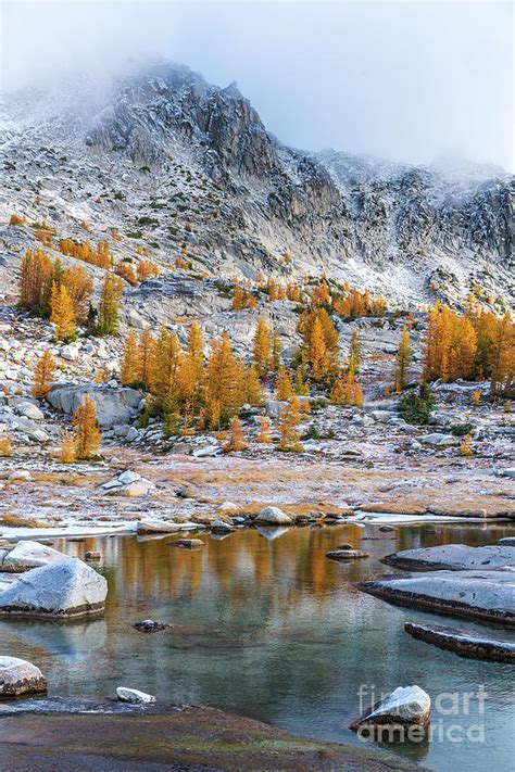 Enchantments Fall Colors Splendor Photograph by Mike Reid - Fine Art ...