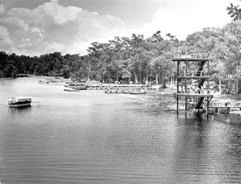 Florida Memory - General view of Wakulla Springs looking over the ...