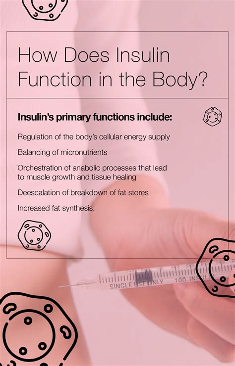 Functions of Insulin in the Body: Good Guy or Bad Guy? – The Amino Company