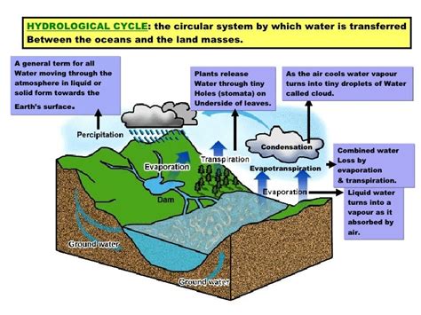 Presentation Hydrology