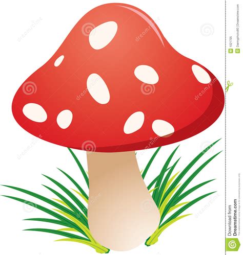 funky mushrooms clipart - Clipground