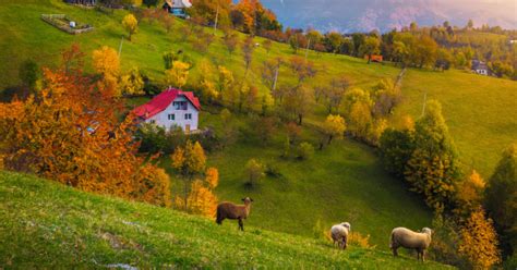 Top 10 peisaje de toamnă surprinse în România - Blogul Travelminit.ro