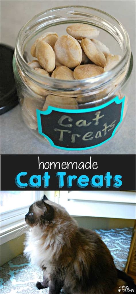 Homemade Cat Treats Recipe - Mess for Less