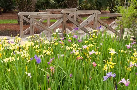 Coastal Gardens | Barry Grove Photography