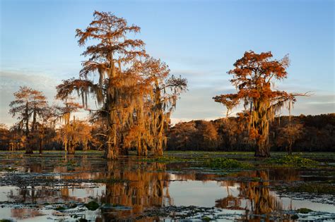 The Bayou at Sunset - danandholly.com